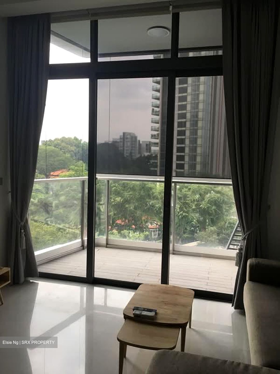 The Scotts Tower (D9), Condominium #624073861